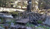 Trail Walking Orbey - Lac noir  - Photo 2