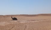 Tour Wandern M'Hamid El Ghizlane ⵎⵃⴰⵎⵉⴷ ⵍⵖⵯⵣⵍⴰⵏ امحاميد الغزلان - Campement 1 au Campement 2 - Photo 14