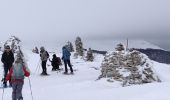 Tour Schneeschuhwandern Bouvante - fond'hurle - Photo 6