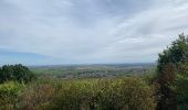 Trail Walking Auxey-Duresses - Camp des Celtes et sentier des Cabottes - Photo 9