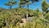 Tour Wandern Saint-Raphaël - cap roux  - Photo 10