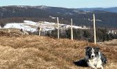 Trail Walking Stosswihr - Les 3 Fours - Ohneck - Col de Flachimont - Photo 1