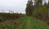 Trail Walking Havelange - La balade du Chêne au Gibet - Photo 8