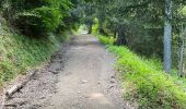 Trail Walking Revel - Lac du Crozet - Photo 20
