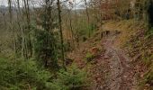 Trail Walking Malmedy - 2021-10-22_19h44m15_1102 - Photo 2