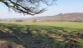 Randonnée Marche Couvin - Balade à Couvin -Mariembourg Géronsart - Photo 3