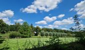 Tour Wandern La Hulpe - A la découverte de La Hulpe(totemus) - Photo 7