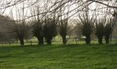 Trail On foot Poperinge - Zevekotepad Reningelst - Photo 4