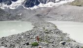 Percorso Marcia Villar-d'Arêne - col du lautaret / lac d'arsine - Photo 5