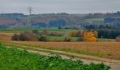 Trail On foot Wildberg - Deckenpfronn Grenzweg - Photo 9