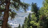 Excursión Senderismo Chamonix-Mont-Blanc - Chalet des Pyramides 1895m 11.7.22 - Photo 10