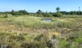 Trail Walking Spa - grand tour de la fagne de malchamps - Photo 8