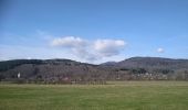 Tour Wandern Sentheim - Knapphutte Saegenkopf Hütte - Photo 2