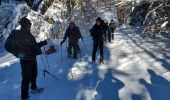 Trail Snowshoes Presles - la Goulandiere - Photo 1