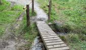 Tour Wandern Monschau - Höfen variante narcisses 15,3 km - Photo 10