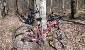 Excursión Bici de montaña Saint-Clément - sortie vtt du 28032021 vitrimont  - Photo 3