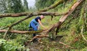 Tocht Stappen Houyet - Hour - Photo 11