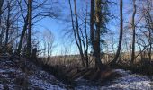 Randonnée Marche Trooz - La Panoramique - Photo 12