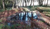 Excursión Senderismo Coursac - boucle des 3 lavoirs - Photo 4