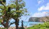 Trail Walking Pamandzi - GR1 PAMANDZI - PETITE TERRE / MAYOTTE - Photo 13