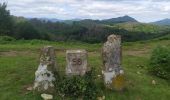 Tocht Stappen Sare - col de lizarrieta et col des 3 bornes - Photo 8