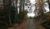 Trail Walking Manhay - la chavée courte - Photo 5