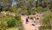 Randonnée Marche Roquebrune-sur-Argens - z forêt de Raphèle 04-06-19 - Photo 1