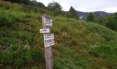 Trail Walking Rimbach-près-Masevaux - Haute Bers - Photo 2