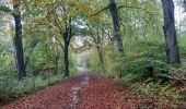 Tocht Stappen Dury - balade de la belle épine  - Photo 8