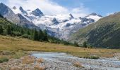 Tour Zu Fuß Samedan - Roseg - Chamanna da Tschierva - Photo 6