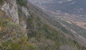 Excursión Senderismo Mollans-sur-Ouvèze - La montagne de Bluye par Saint-leger du Ventoux  - Photo 2