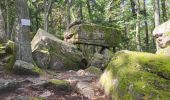 Excursión Senderismo Gueberschwihr - Gueberschwihr - Voegtlinshoffen - N.-D. de Schauenberg - Pfaffenheim - Photo 15