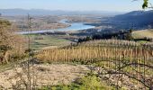 Trail Walking Tournon-sur-Rhône - Le Pas du géant  - Photo 1