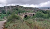 Excursión Senderismo Puente la Reina - 2023 05 estella - Photo 2