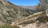 Trail Walking Albertacce - Lac de Nino - départ maison forestière  - Photo 1