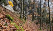Trail  Bonlieu - Cascades du hérisson  - Photo 6