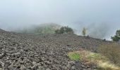 Tocht  Pranles - Volcan des Chirouses - Azur - Photo 12