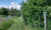 Excursión Senderismo Beauraing - Froidfontaine 010522 - Photo 2