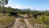 Trail Mountain bike Saint-Zacharie - Vallon de l'Espagnol St Zacharie - Photo 1