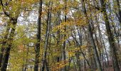 Tour Wandern Versailles - Vallée de la Bievre au départ de Versailles  - Photo 1