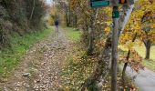 Trail Walking La Grand-Croix - La voie de la Galoche au départ de Grand Croix - Photo 5