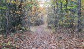 Trail Walking Cardeilhac - arboretum de cardeilhac  - Photo 1