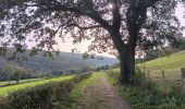 Trail Walking Theux - franchimont-maché . chinru - retour - Photo 5