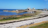 Trail Walking La Hague - port de Goury, port Racine  - Photo 2