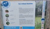 Tour Wandern Guidel - PR_56_Guidel_BA_02_Entre-Loch-Et-Laita_Circuit3b_20231004 - Photo 1