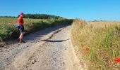 Tour Wandern Chaumont-Gistoux - 2020-05-28 Rando IR204 Dion le Val 22 km - Photo 9