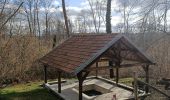 Tour Wandern Villefargeau - Rando Bois l'abbé  et 3 Fontaines  - Photo 1