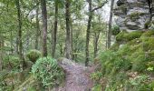 Tour Wandern Vresse-sur-Semois - Rochehaut 25 km - Photo 3