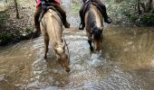 Trail Horseback riding Baccarat - Chez Alex mercredi 21 février 24 Mirador  - Photo 8