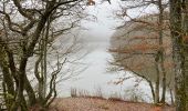 Randonnée Marche Lac de la Haute-Sûre - Bavigne 15,6 km - Photo 1